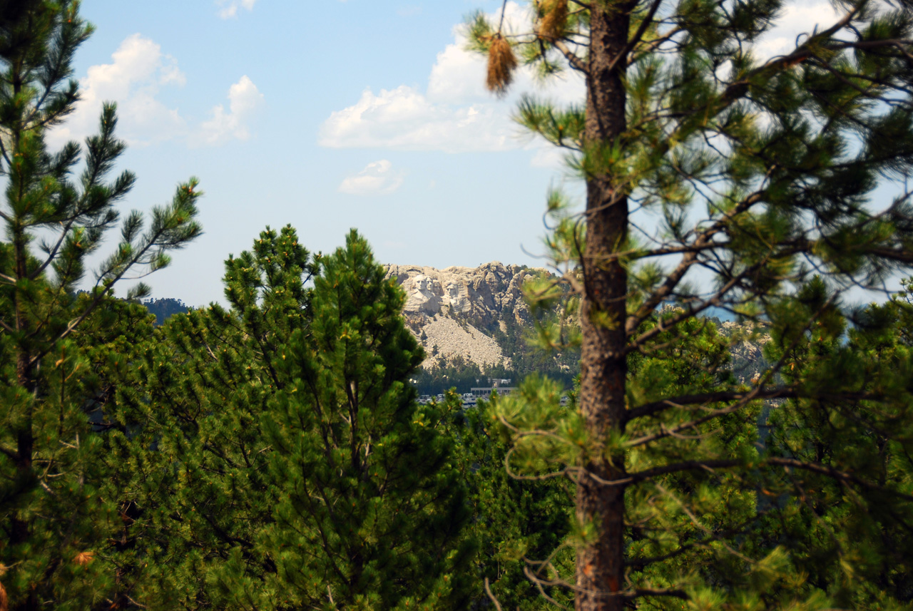 2008-07-19, 385, Mount Rushmore from Custer Park, South Dakota