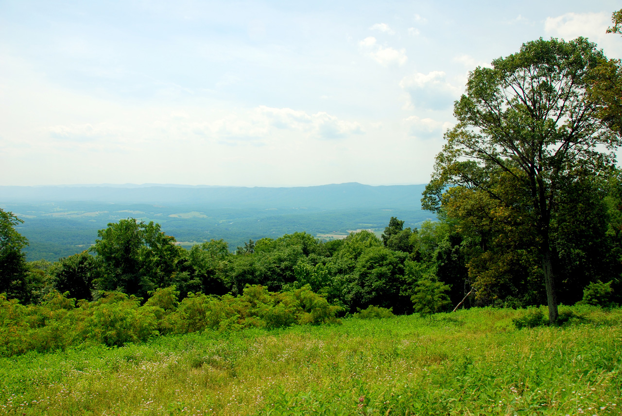 2009-07-15, 007, Shenandoah National Park, VA