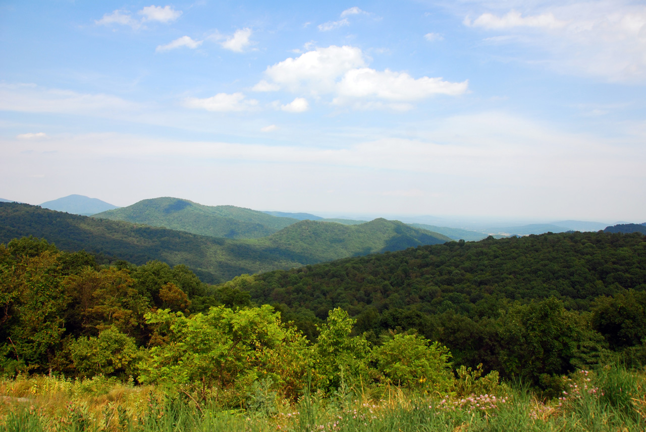 2009-07-15, 023, Shenandoah National Park, VA