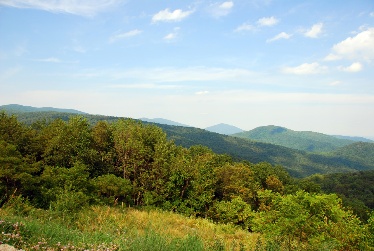 2009-07-15, 024, Shenandoah National Park, VA