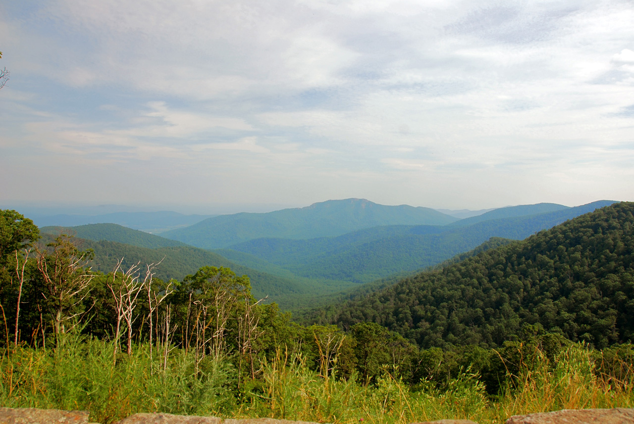 2009-07-15, 025, Shenandoah National Park, VA