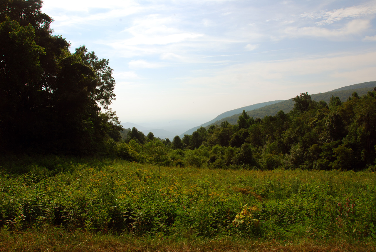 2009-07-16, 040, Shenandoah National Park, VA