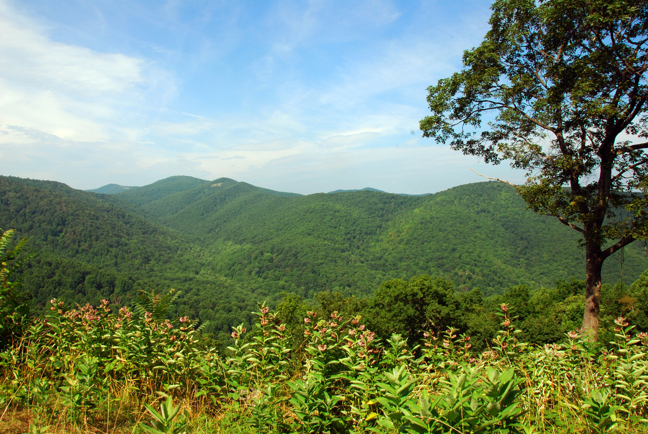 2009-07-16, 044, Shenandoah National Park, VA