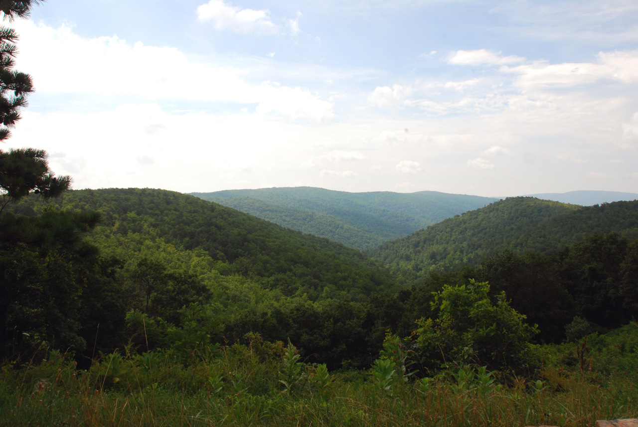 2009-07-16, 047, Shenandoah National Park, VA