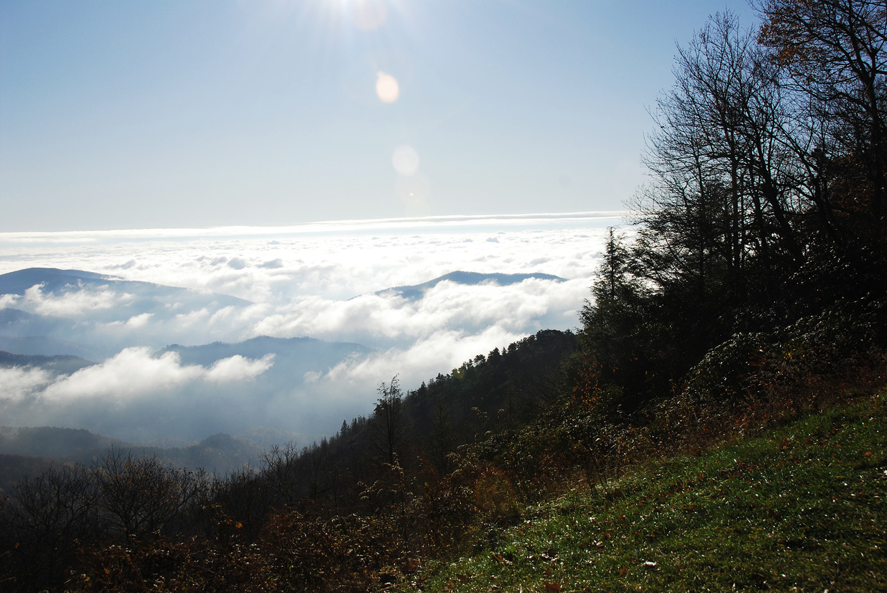 2009-11-02, 038, Blue Ridge Parkway Va-NC