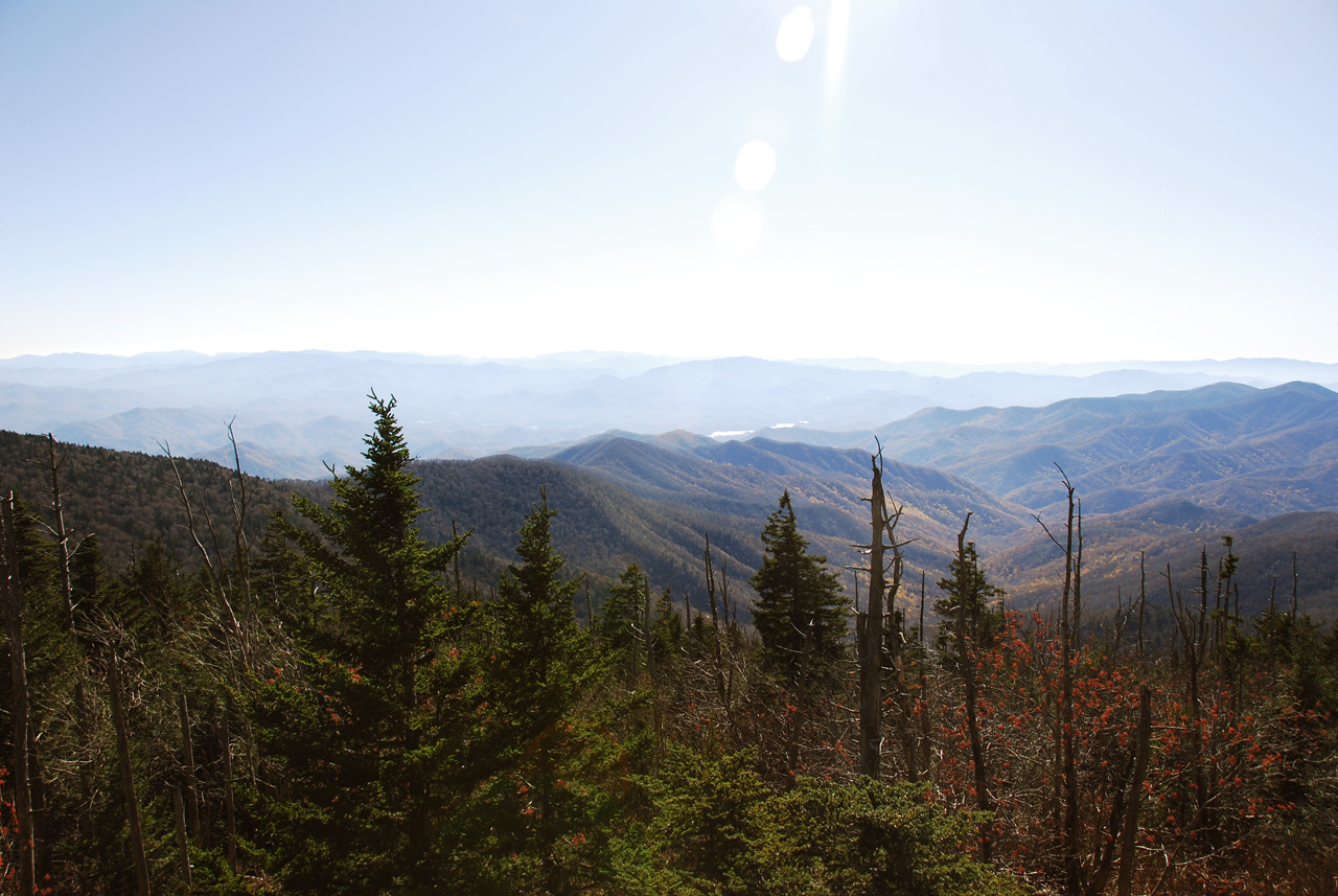 2009-11-02, 091, Great Smoky Mt, NP