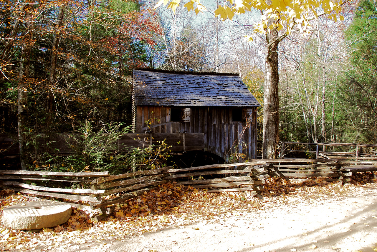 2009-11-03, 116, Great Smoky Mt, NP, Cades Cove