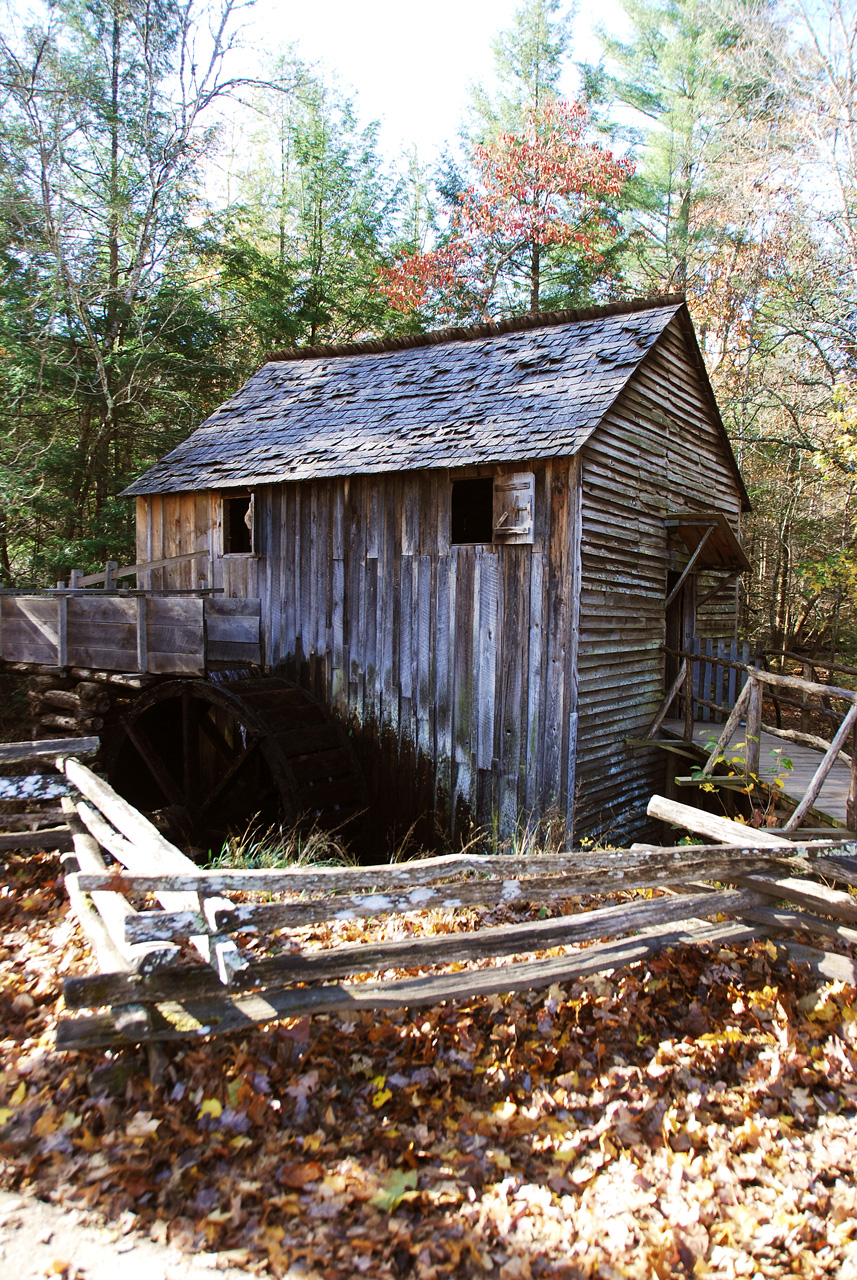 2009-11-03, 117, Great Smoky Mt, NP, Cades Cove