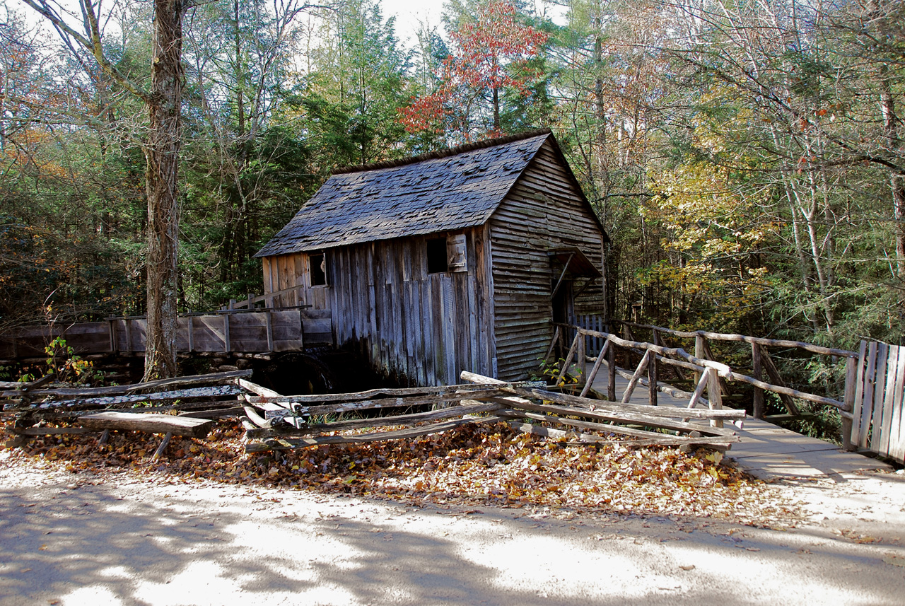 2009-11-03, 119, Great Smoky Mt, NP, Cades Cove