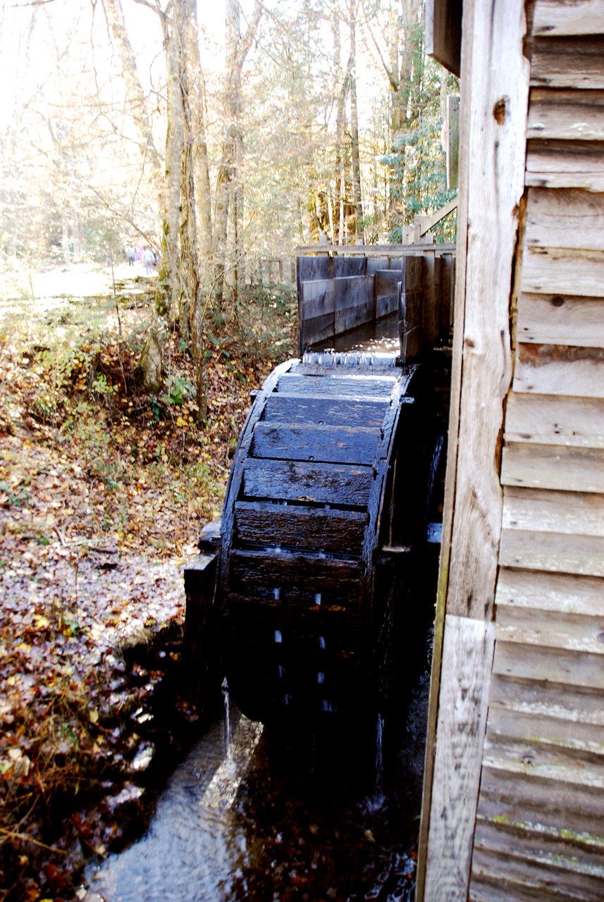 2009-11-03, 123, Great Smoky Mt, NP, Cades Cove