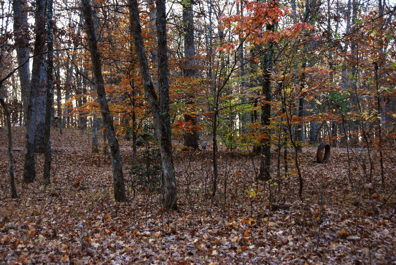 2009-11-05, 133, Mammoth Cave NP, Ky