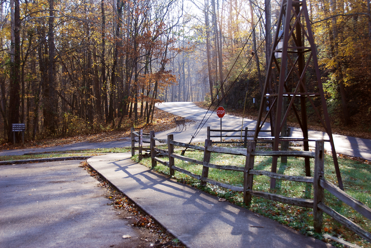 2009-11-05, 139, Mammoth Cave NP, Ky